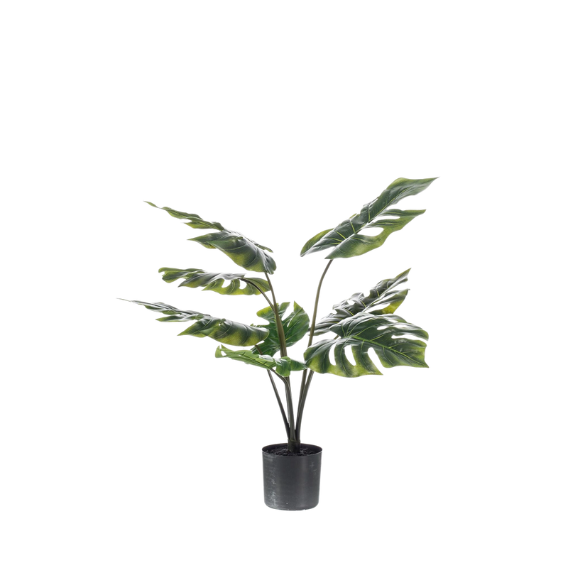 Monstera Deliciosa Kunstplant (Gatenplant)