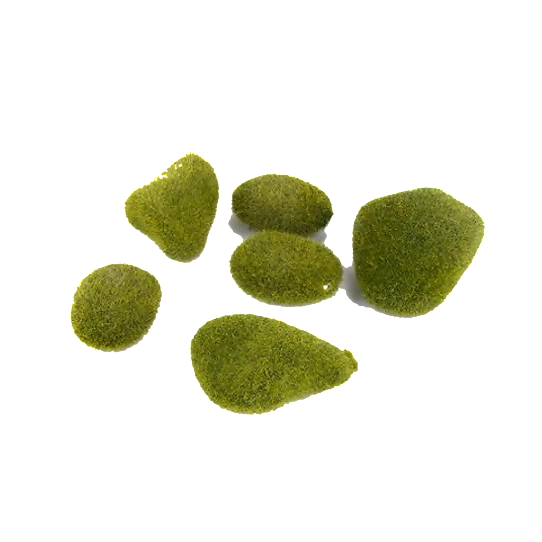 Moss stone green x6