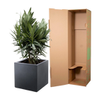 Nerium Oleander struik met rode bloem