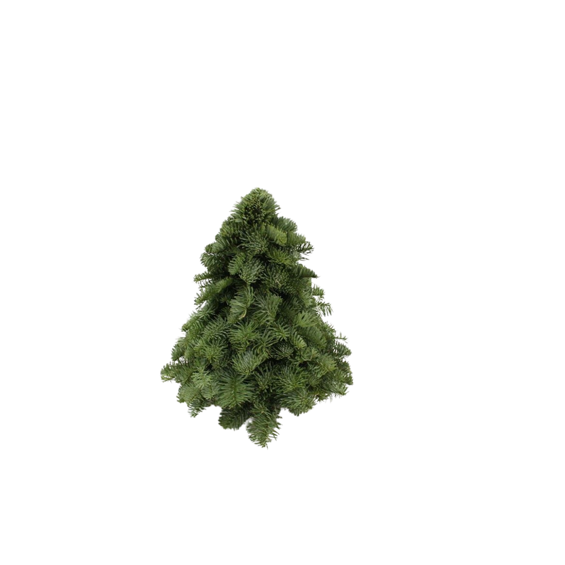 Nobilis Kerstboom (30cm)