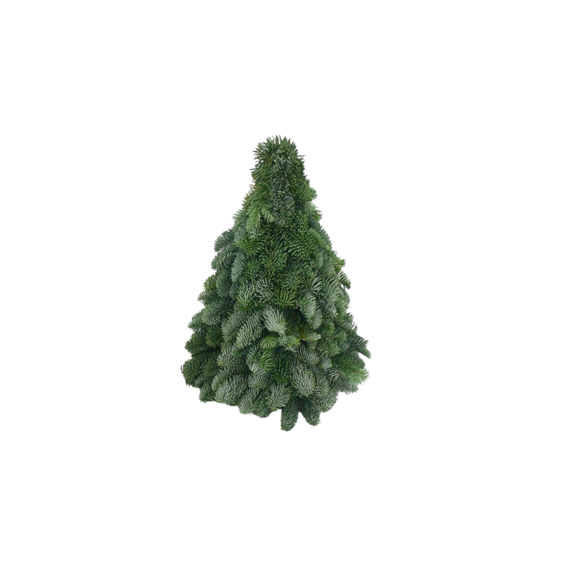 Nobilis Kerstboom (40cm)
