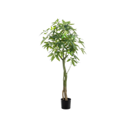 Pachira Aquatica Kunstplant (Geldboom)