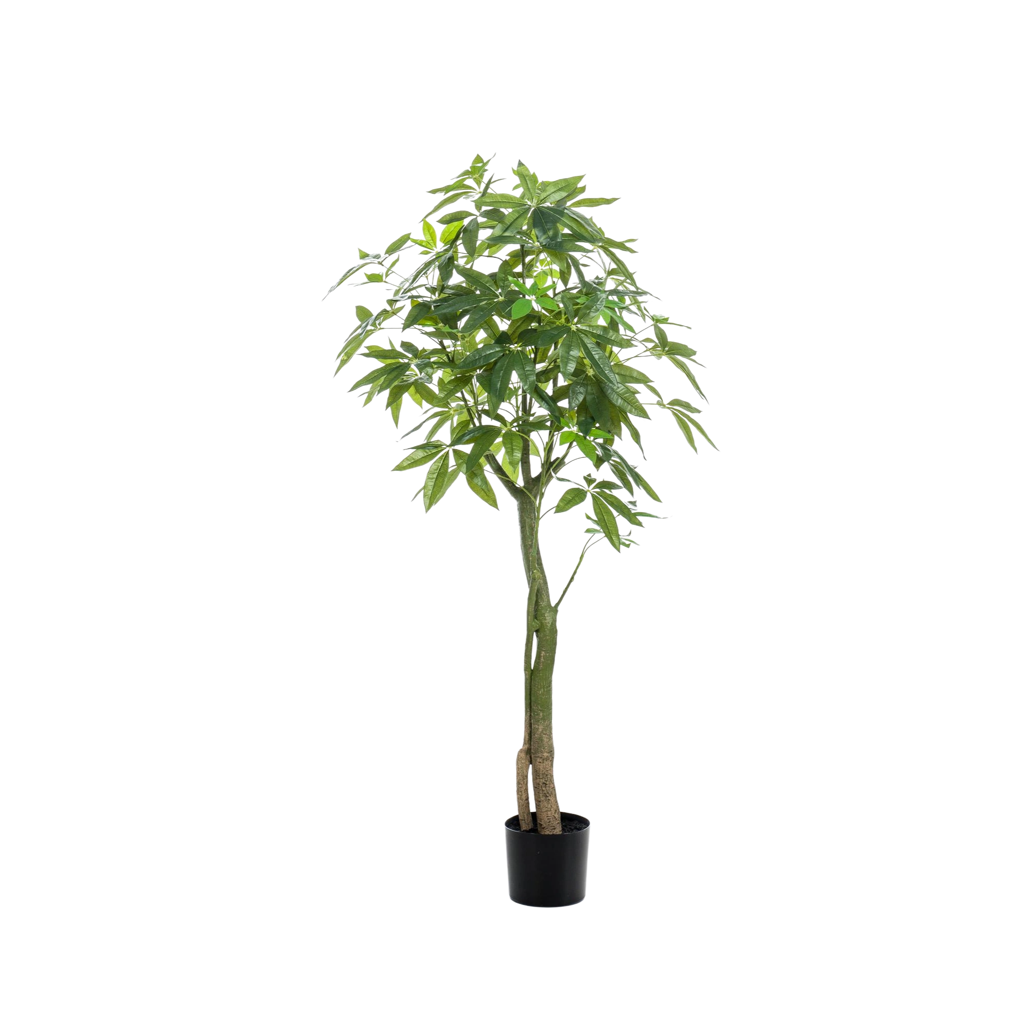 Pachira Aquatica Kunstplant (Geldboom)