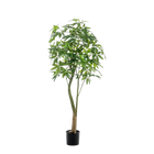 Pachira Aquatica Kunstplant (Geldboom) Everspring