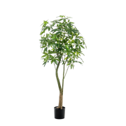 Pachira Aquatica Kunstplant (Geldboom) Everspring