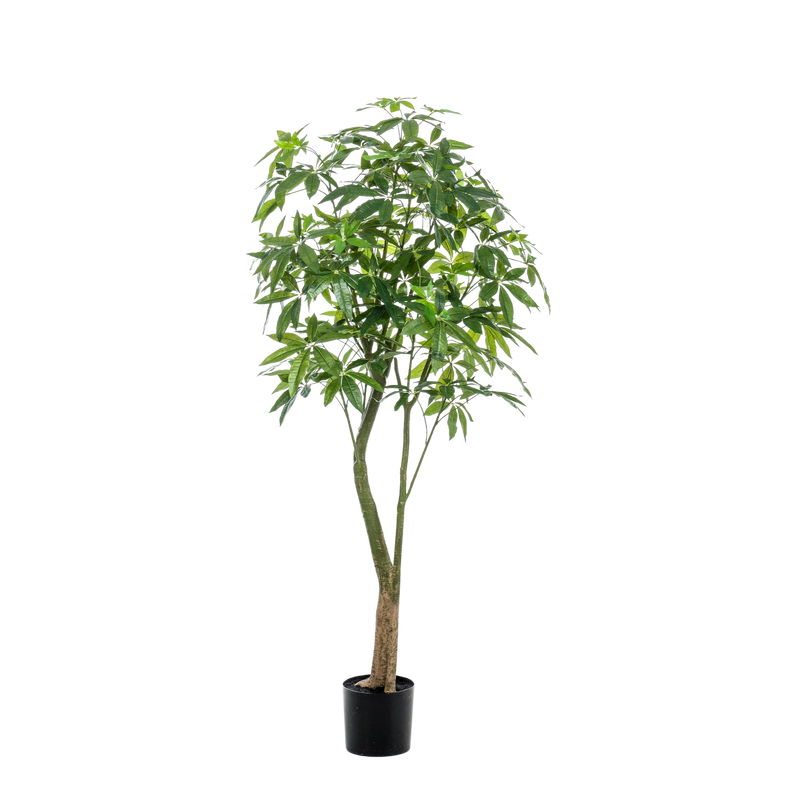 Pachira Aquatica Kunstplant (Geldboom)