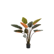 Philodendron Kunstplant