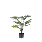 Philodendron Kunstplant Everspring