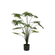 Philodendron Kunstplant Everspring