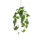 Philodendron Scandens (kunstplant)