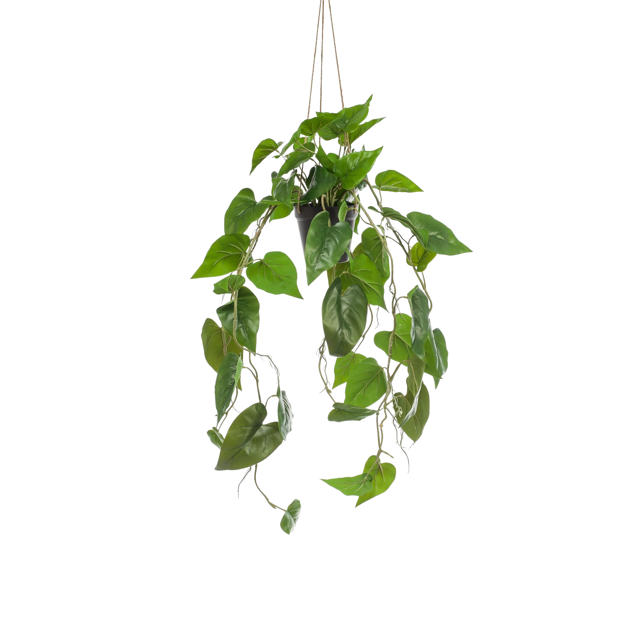 Philodendron Scandens (kunstplant)