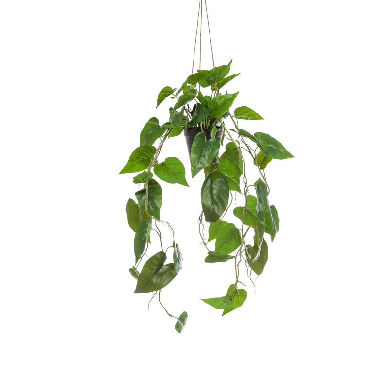 Philodendron Scandens (kunstplant)