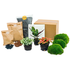 Planten terrarium pakket - Calathea Lancifolia