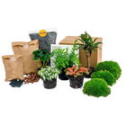 Planten terrarium pakket - Jungle 5