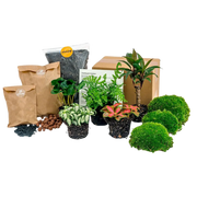 Planten terrarium pakket - Jungle 5 Everspring