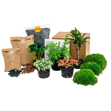 Planten terrarium pakket - Jungle 5