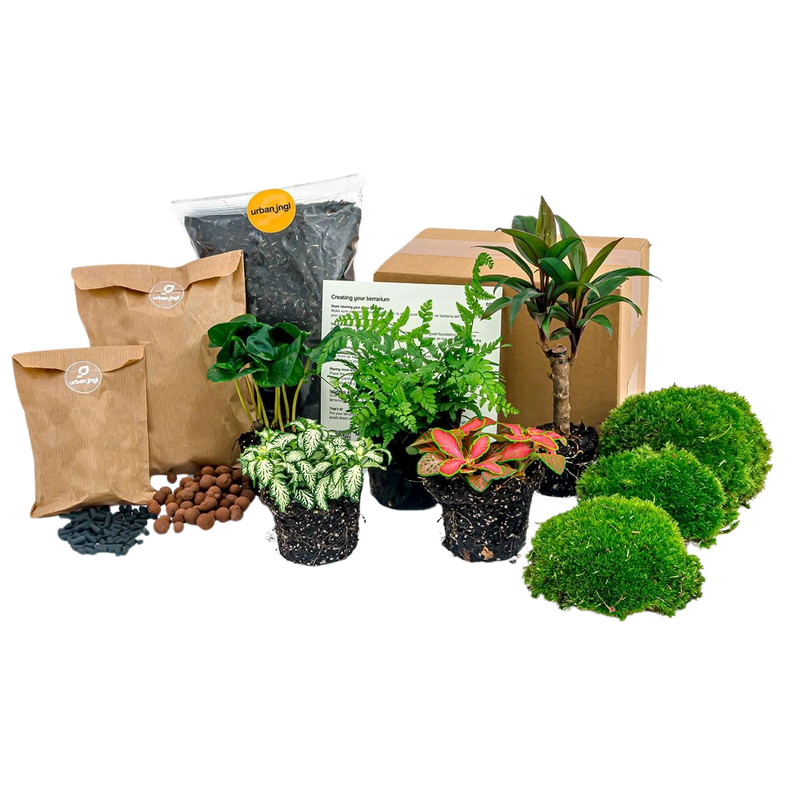 Planten terrarium pakket - Jungle 5
