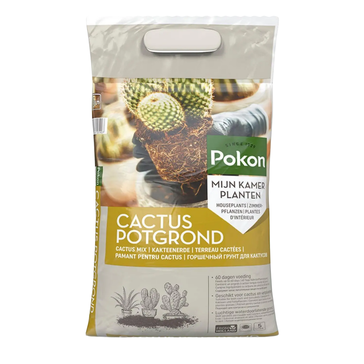 Pokon Cactus & Vetplant Potgrond – 5 Liter Everspring