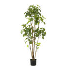 Polyscias Kunstplant (Aralia) Everspring