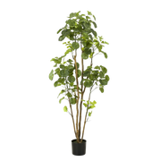 Polyscias Kunstplant (Aralia) Everspring