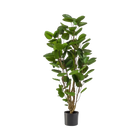 Polyscias kunstplant (Aralia) Everspring