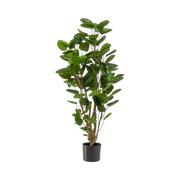 Polyscias kunstplant (Aralia) Everspring