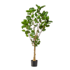 Polyscias kunstplant (Aralia)