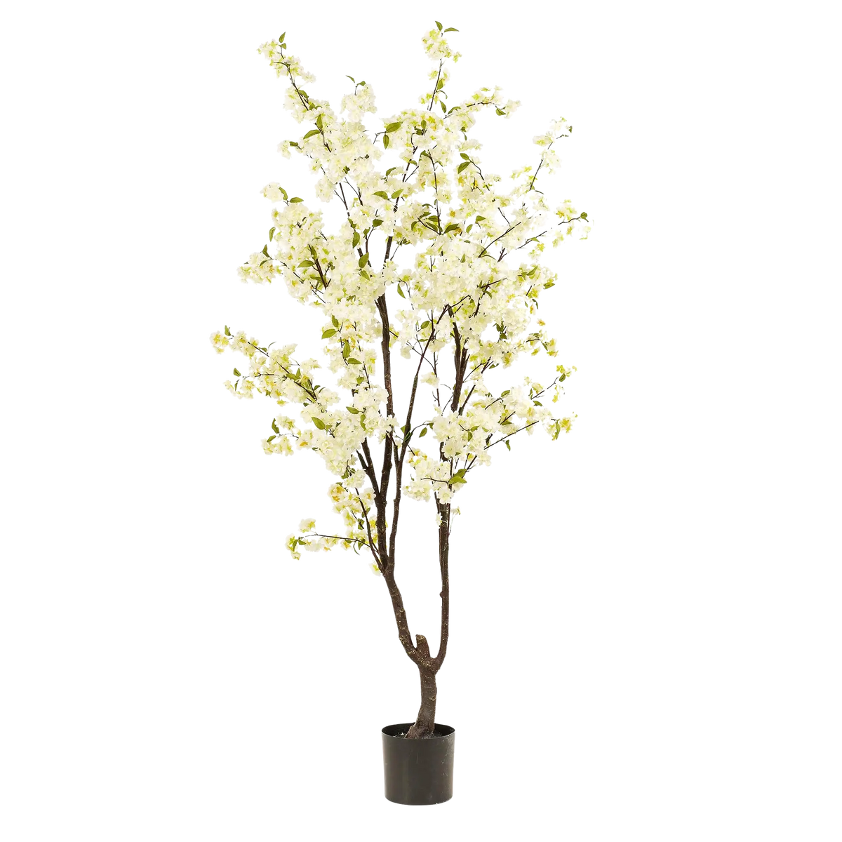 Prunus Kunstplant (Kersenbloesem) Everspring