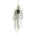 Rhipsalis Kunstplant (Koraalcactus)
