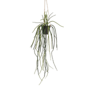 Rhipsalis Kunstplant (Koraalcactus)