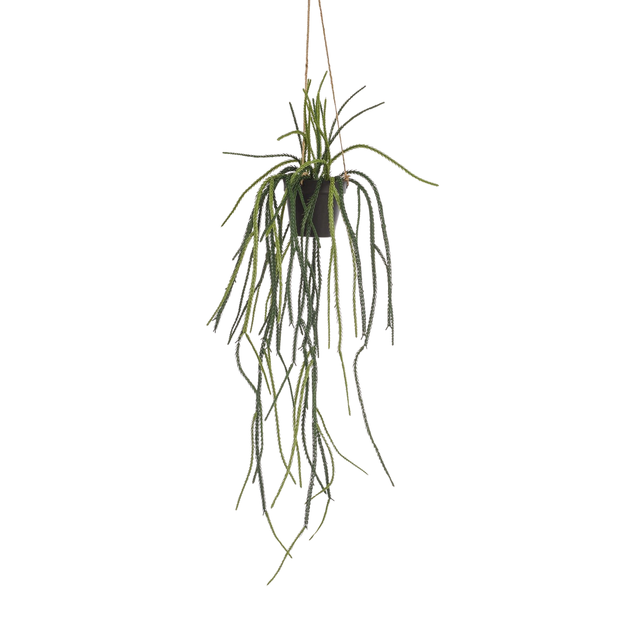 Rhipsalis Kunstplant (Koraalcactus)
