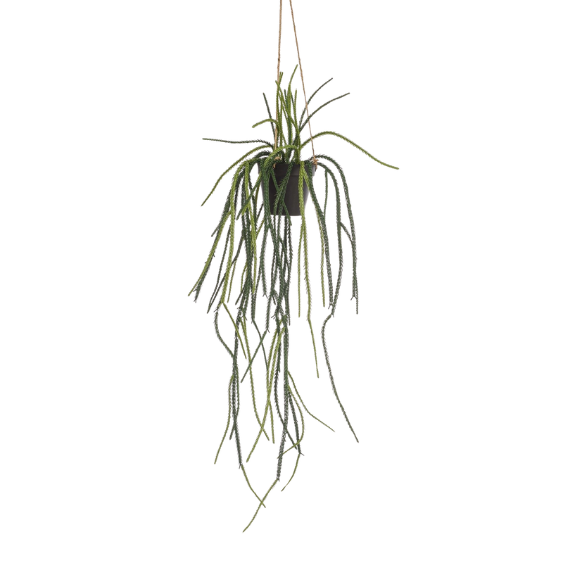 Rhipsalis Kunstplant (Koraalcactus)