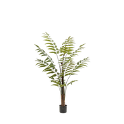 Rumohra Adiantiformis Kunstplant (Ledervaren)