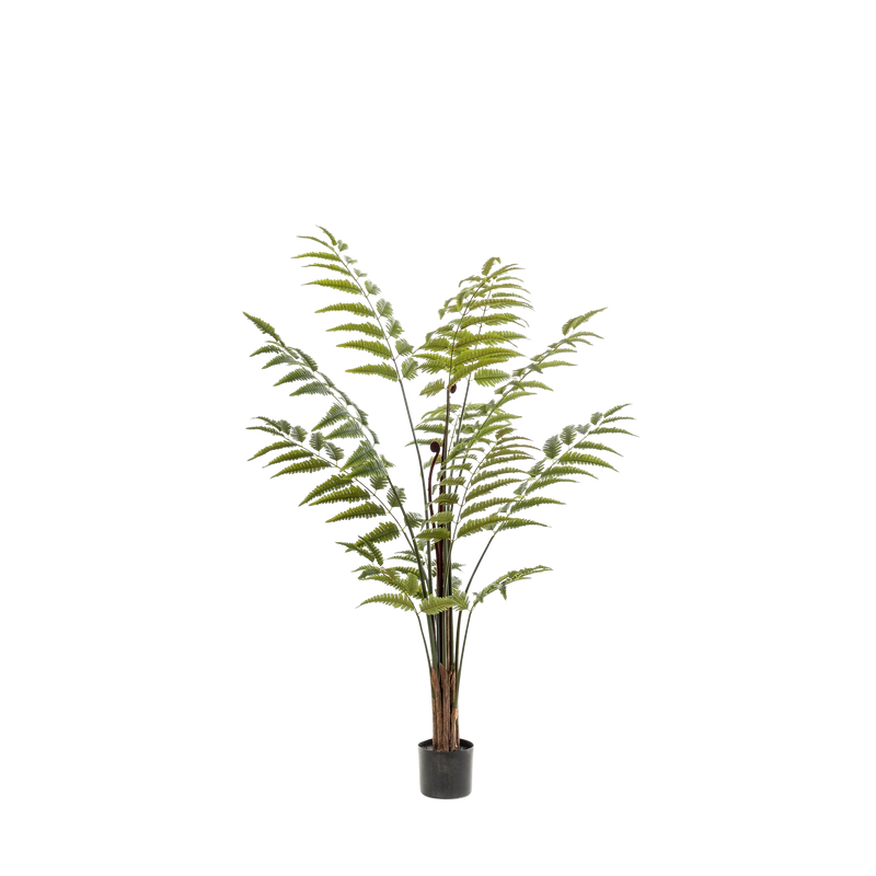 Rumohra Adiantiformis Kunstplant (Ledervaren)