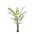 Rumohra Adiantiformis Kunstplant (Ledervaren)