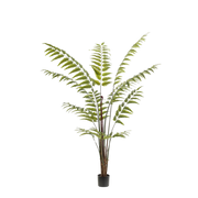 Rumohra Adiantiformis Kunstplant (Ledervaren)