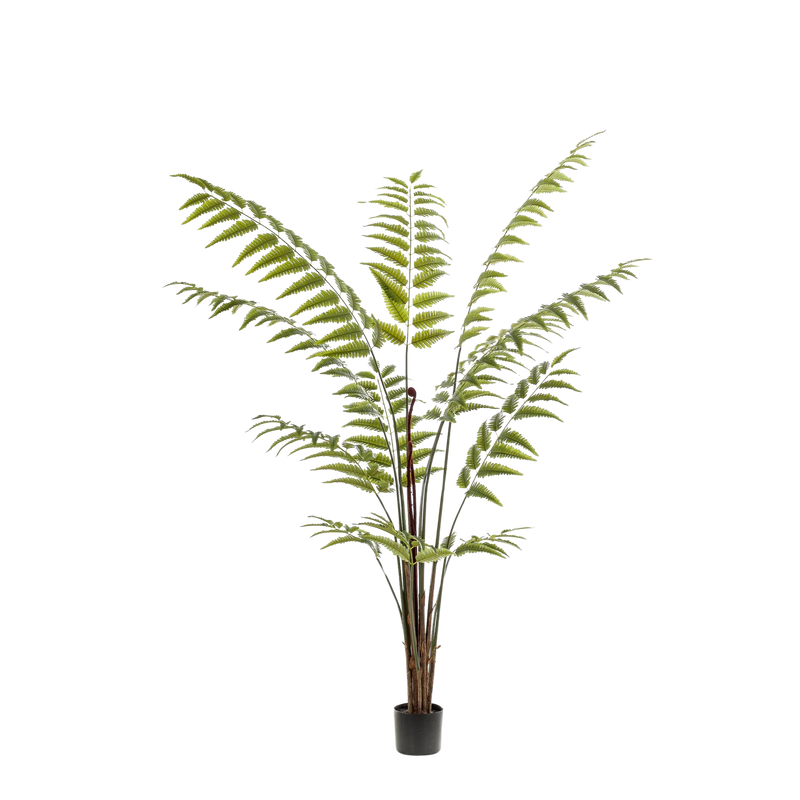 Rumohra Adiantiformis Kunstplant (Ledervaren)