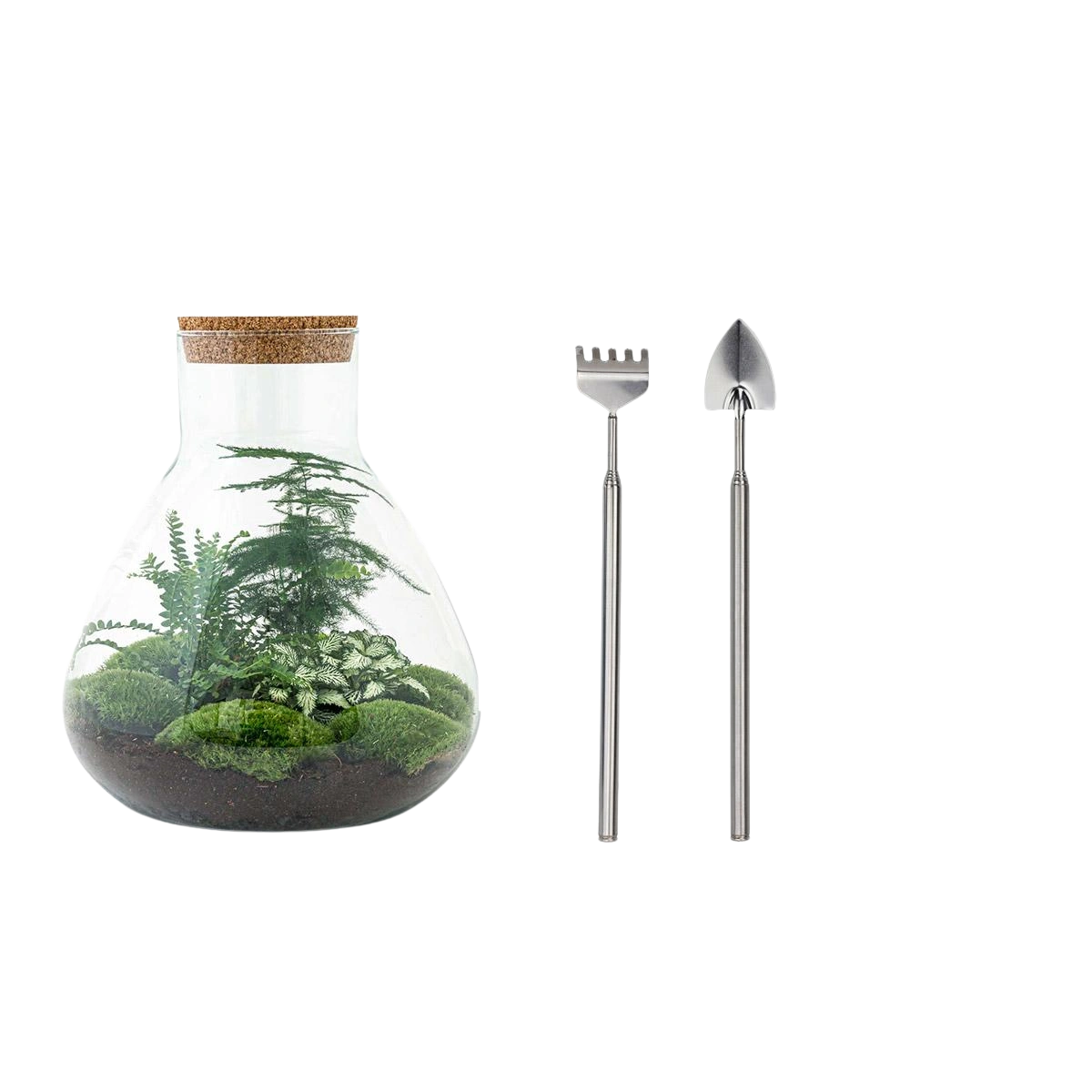 Sam XL Terrarium