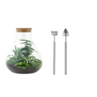 Sam XL Terrarium