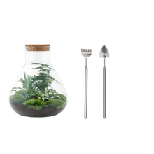 Sam XL Terrarium