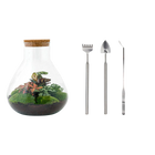 Sam XL Terrarium