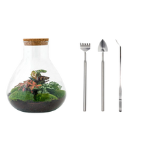 Sam XL Terrarium