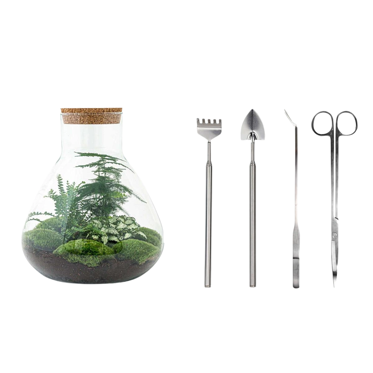 Sam XL Terrarium