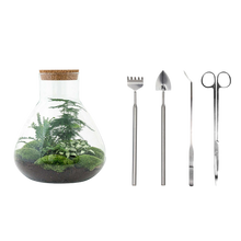 Sam XL Terrarium