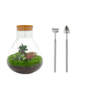 Sam XL Bonsai Terrarium