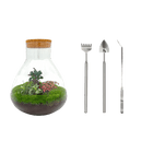 Sam XL Bonsai Terrarium