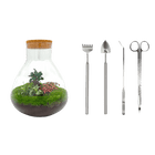 Sam XL Bonsai Terrarium