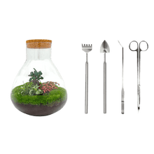 Sam XL Bonsai Terrarium