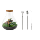 Sam XL Rood Terrarium