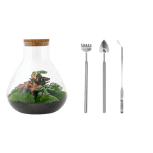 Sam XL Rood Terrarium